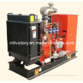 Cummins Natural Gas Generator Set (20KW~500KW) with CE/Soncap/Ciq Certifications